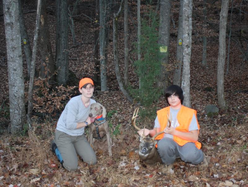weimaraner tracking deer