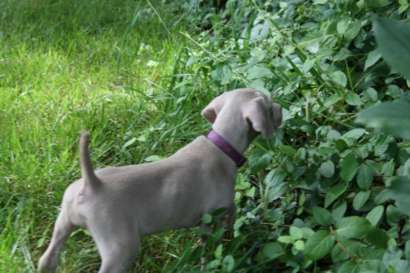 A cover girl in training